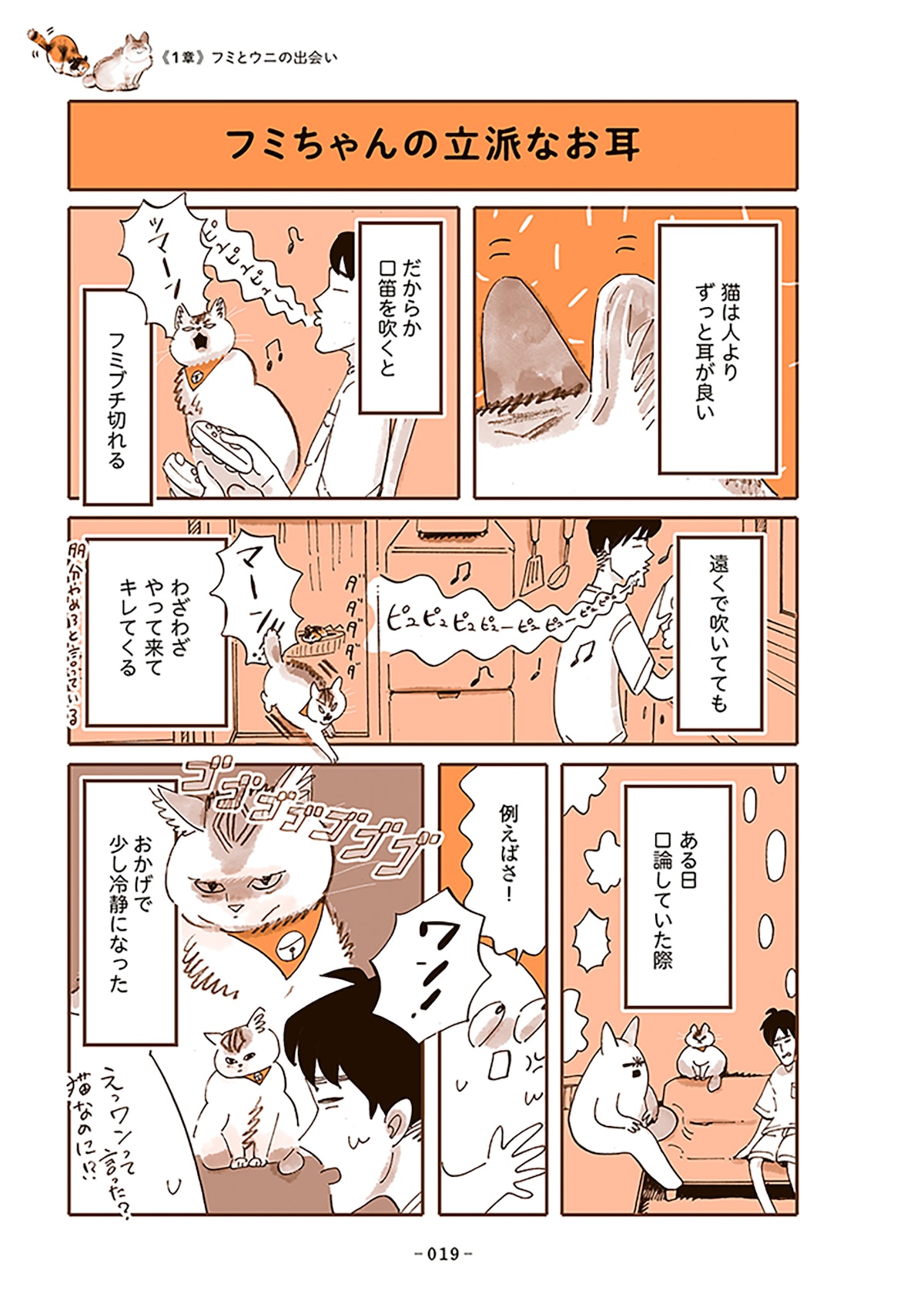 「うちの猫は仲が悪い」