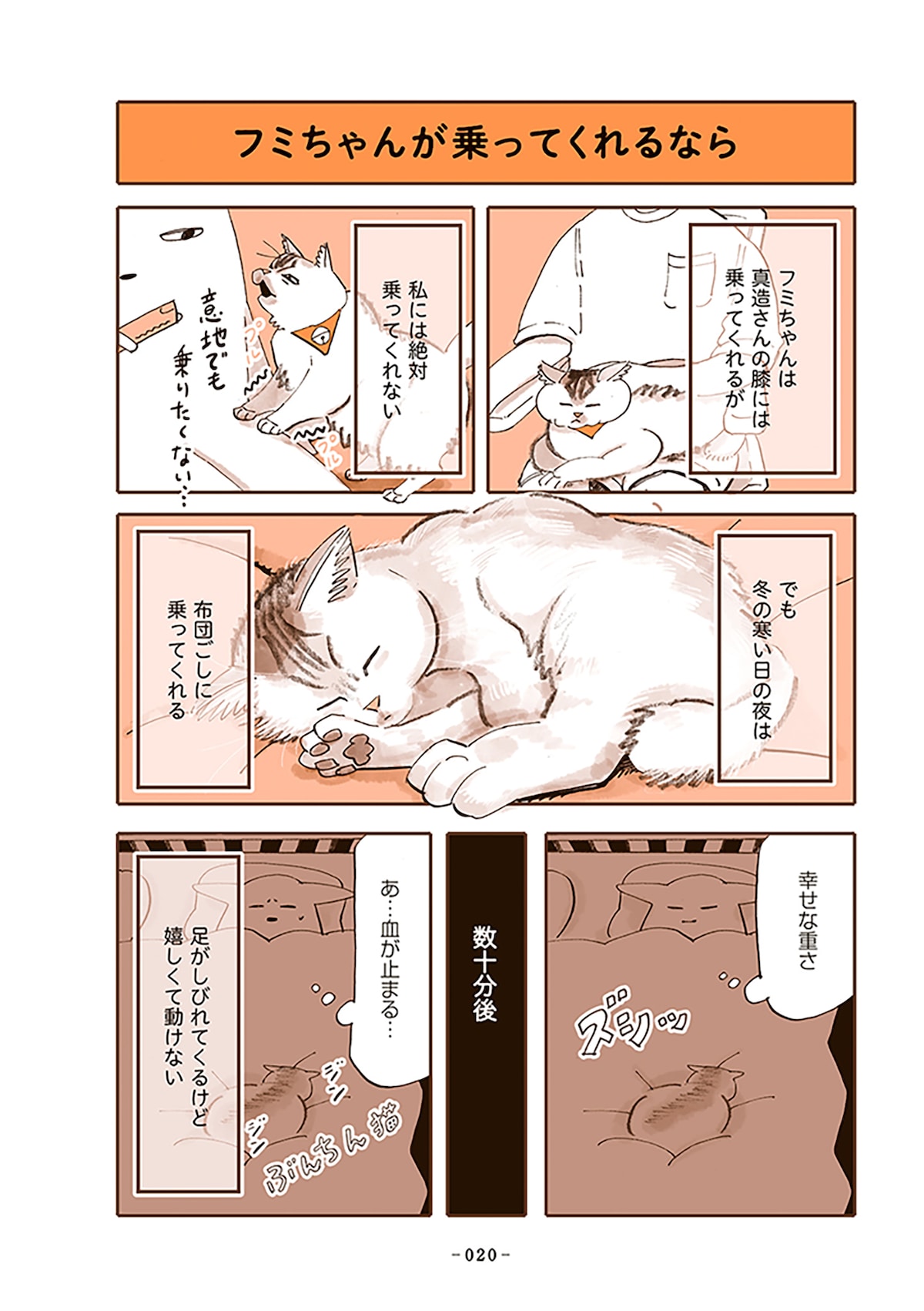 「うちの猫は仲が悪い」