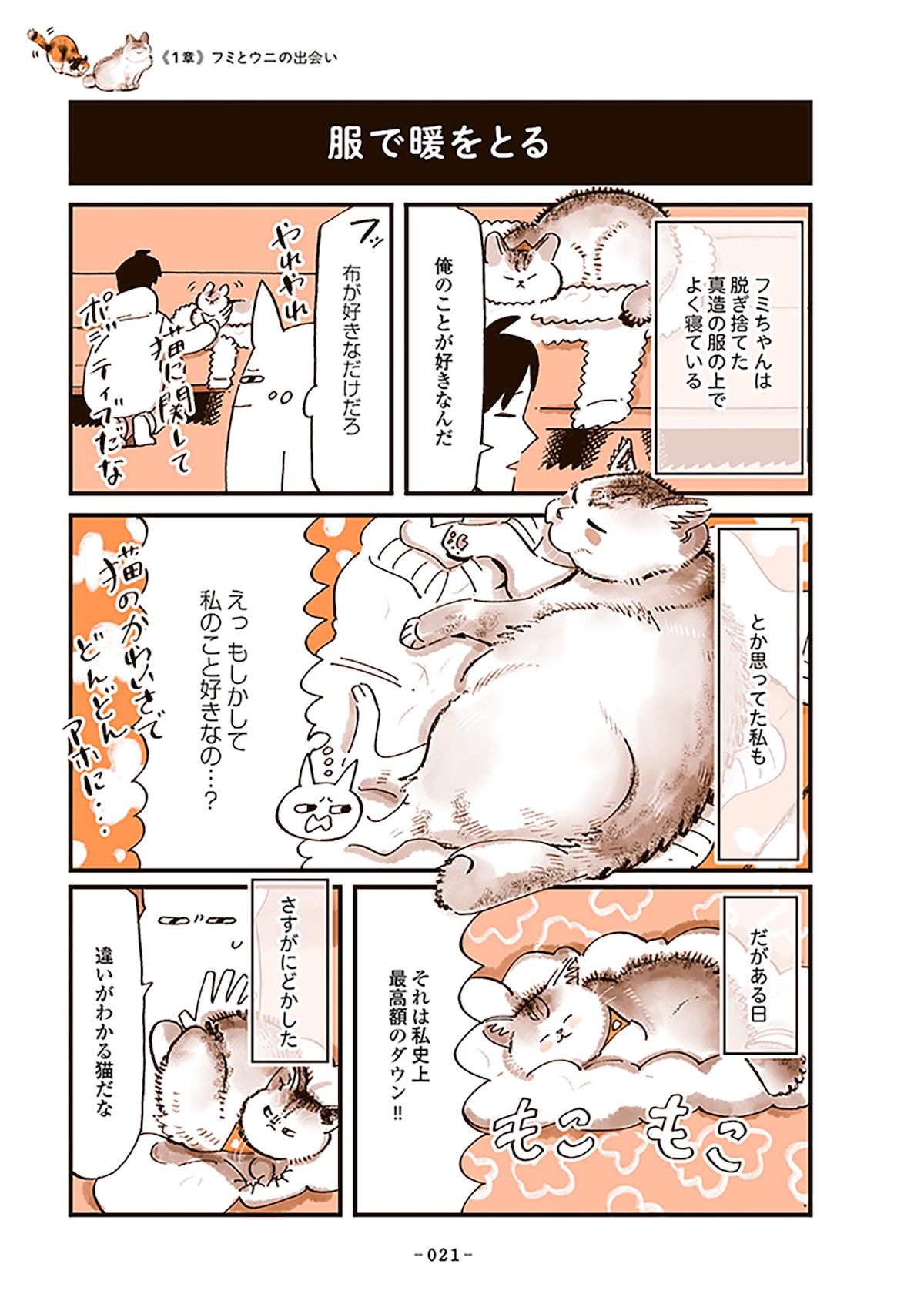 「うちの猫は仲が悪い」