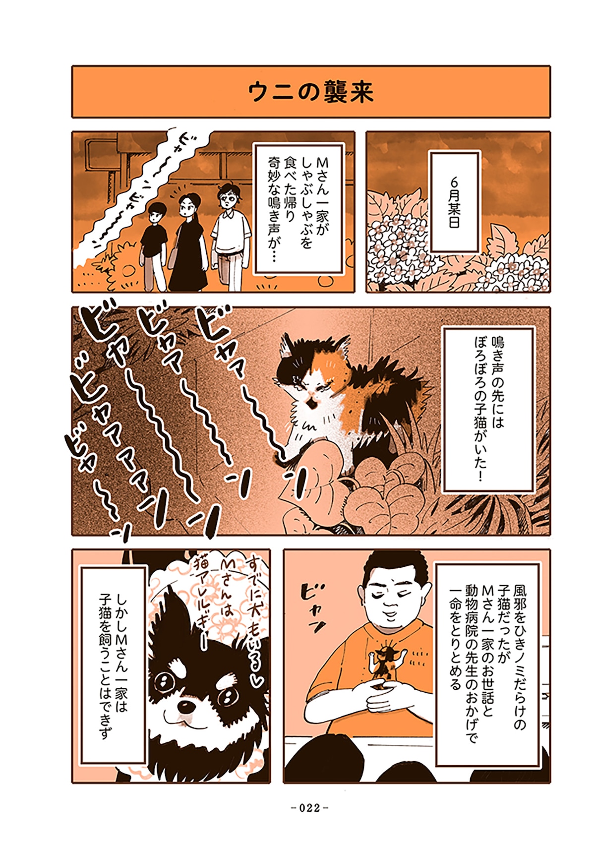 「うちの猫は仲が悪い」