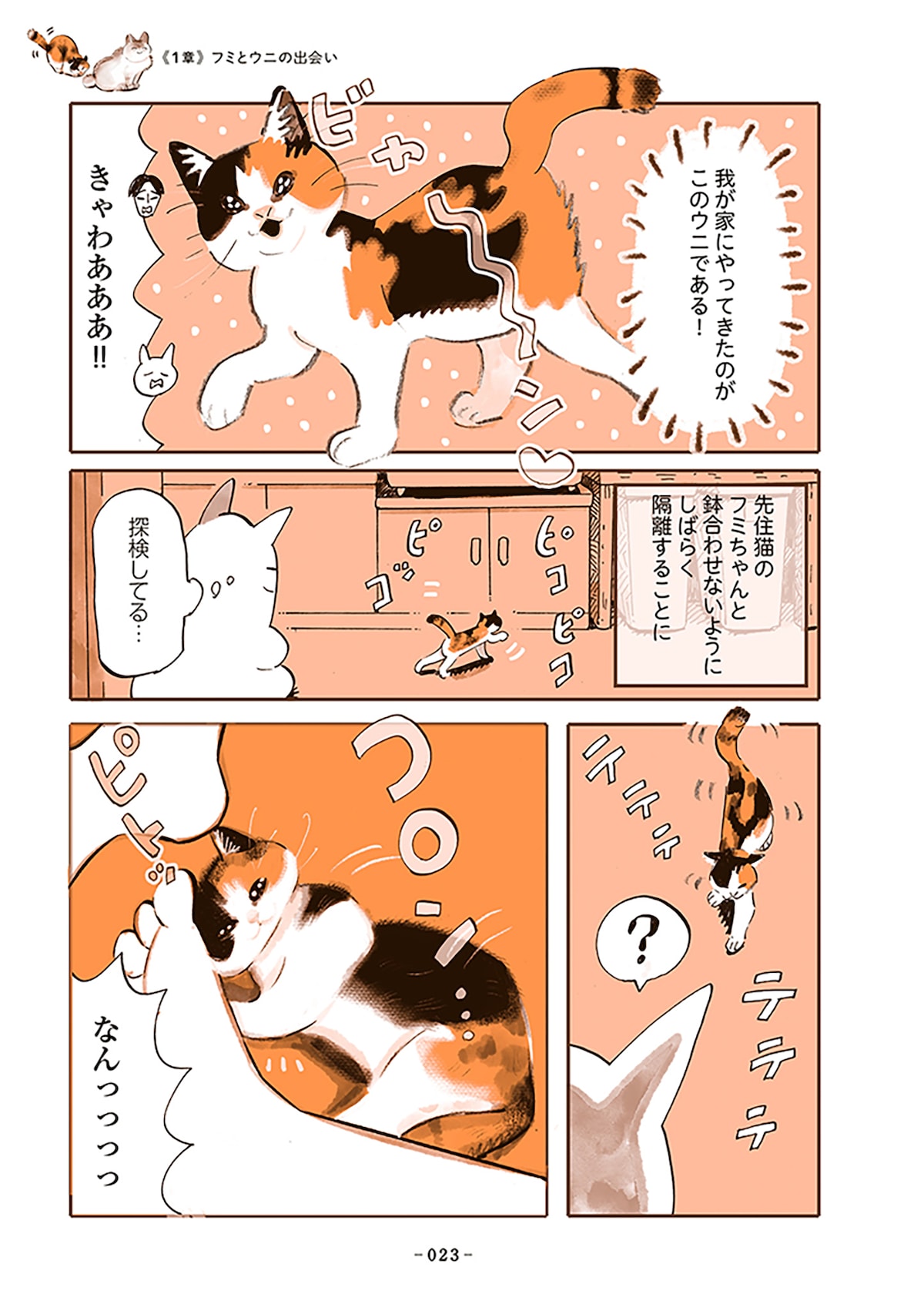 「うちの猫は仲が悪い」