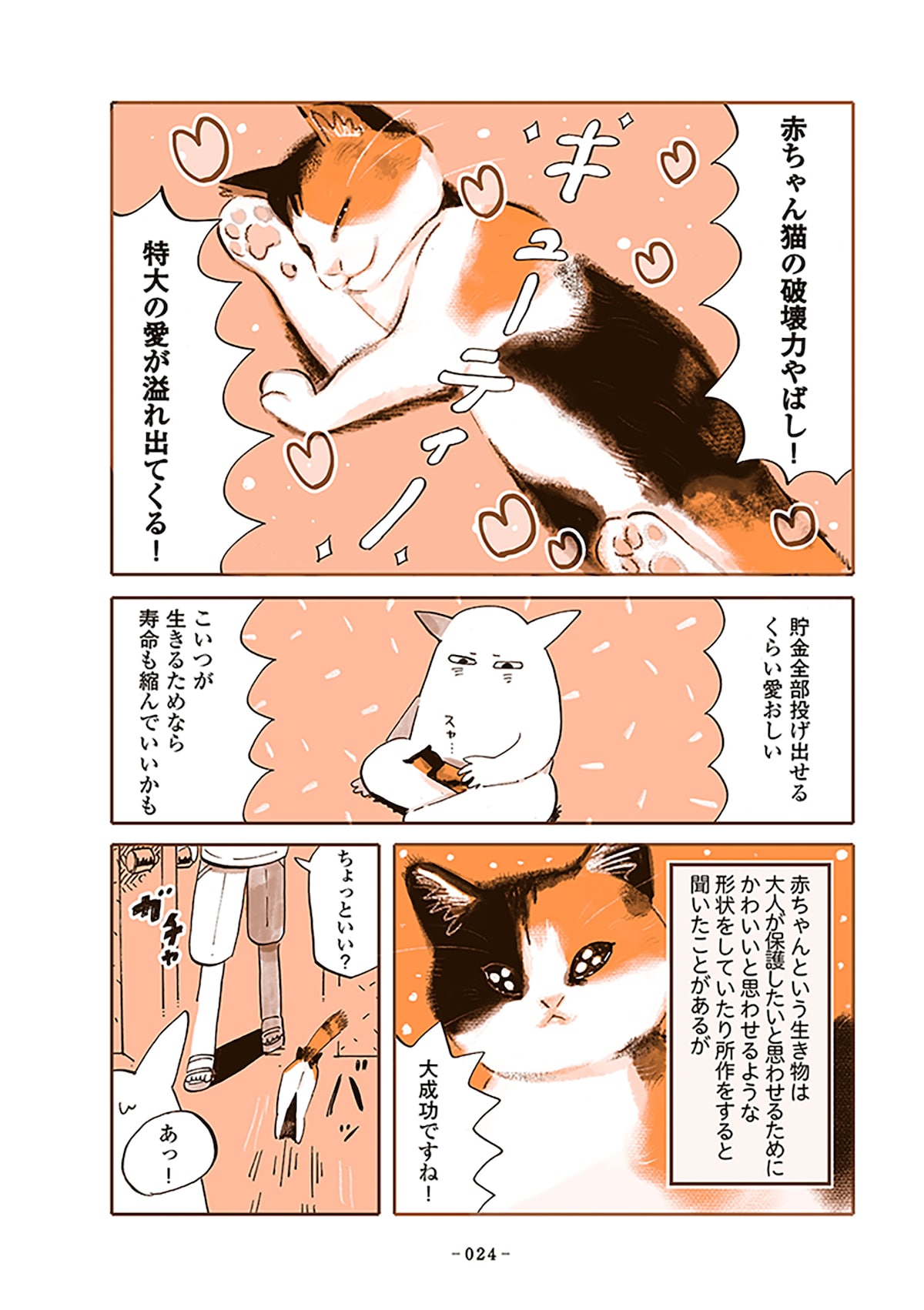 「うちの猫は仲が悪い」