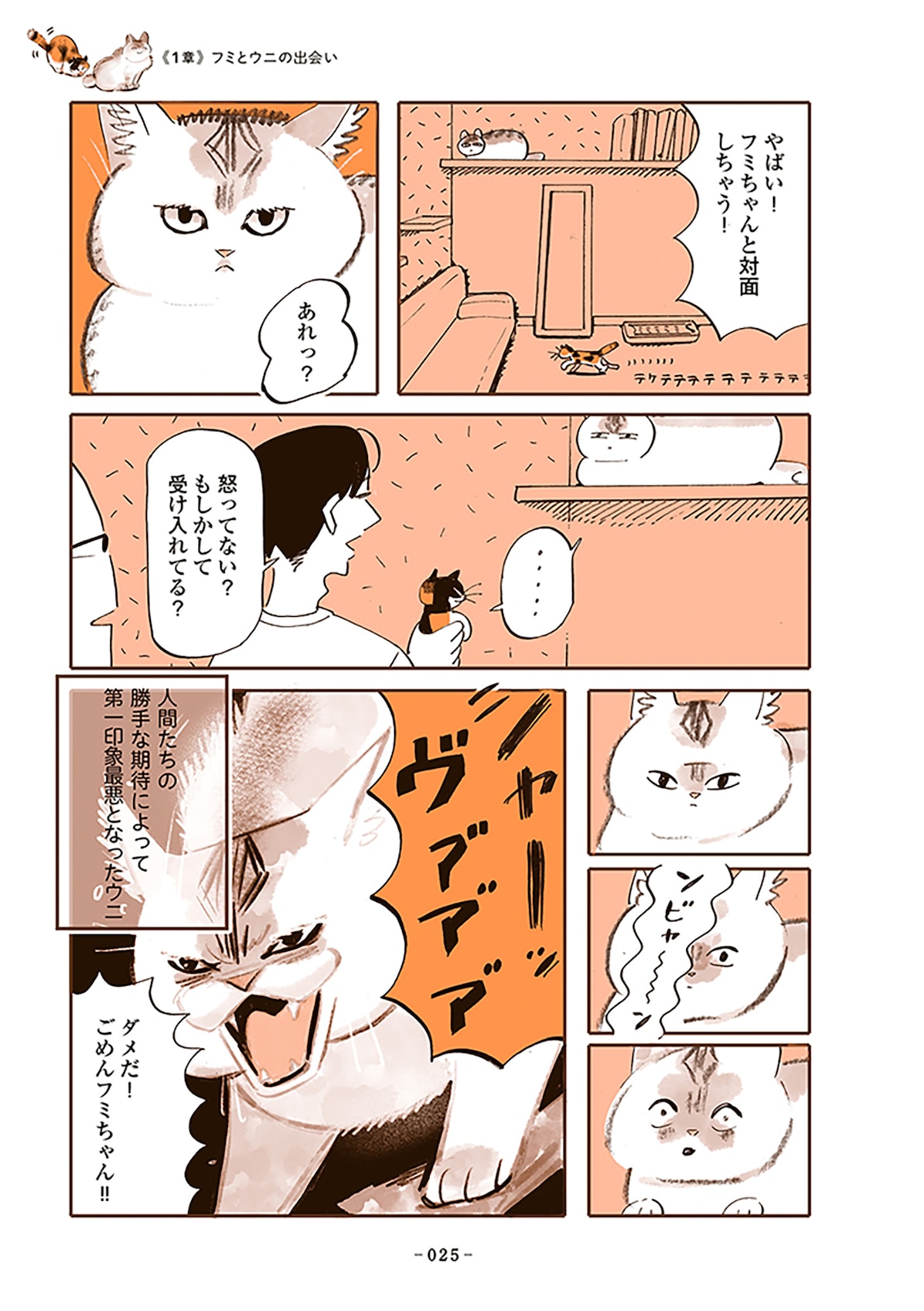「うちの猫は仲が悪い」