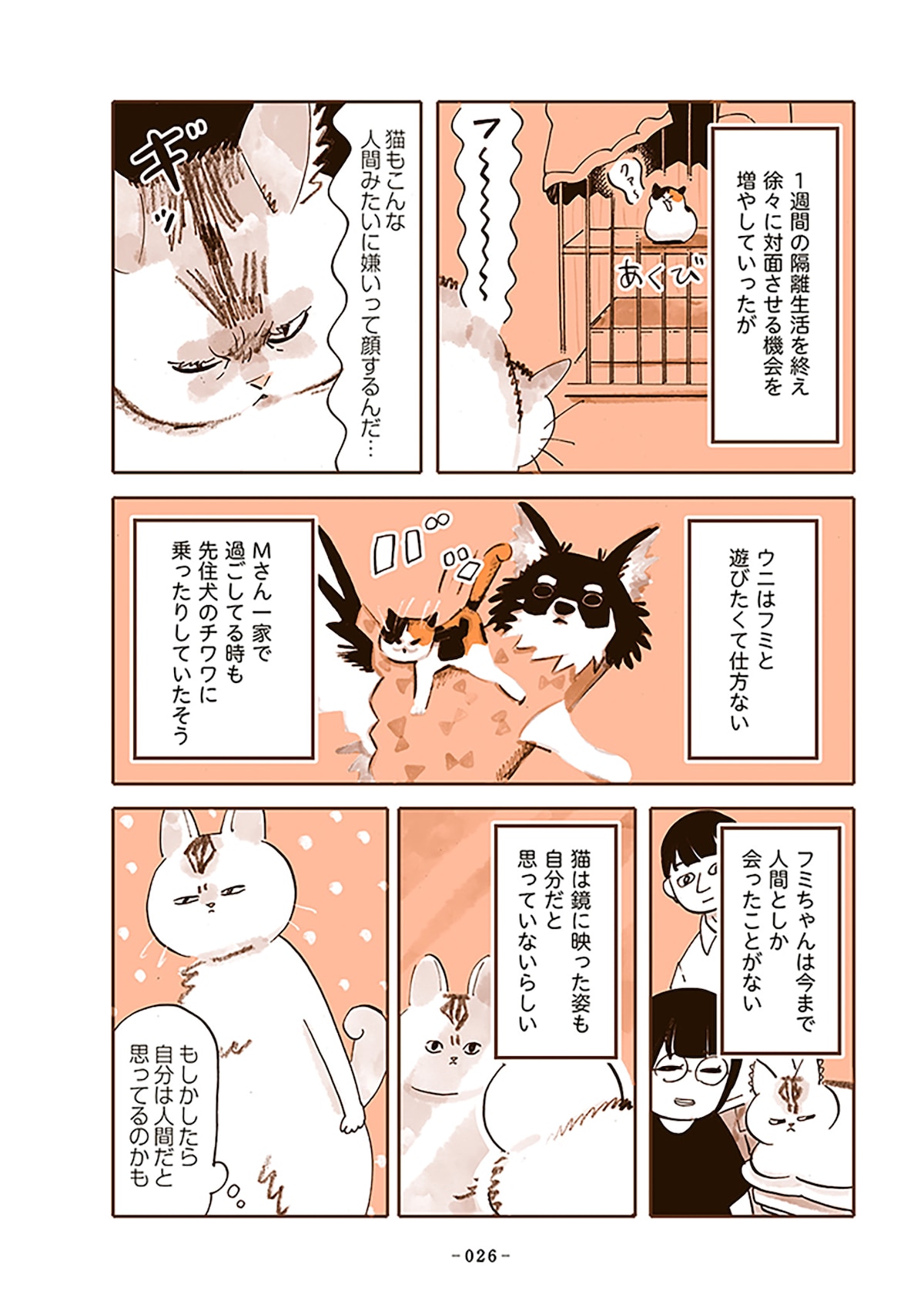 「うちの猫は仲が悪い」