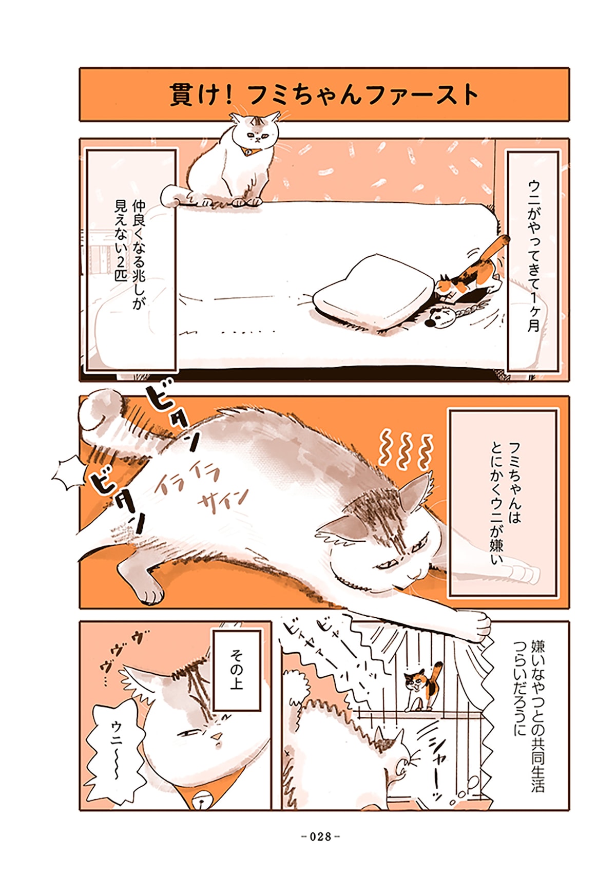 「うちの猫は仲が悪い」