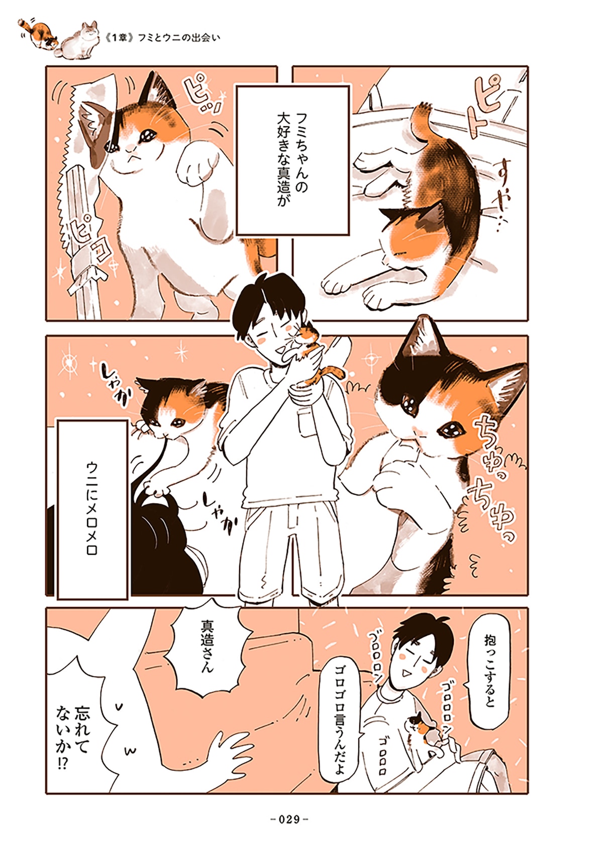 「うちの猫は仲が悪い」