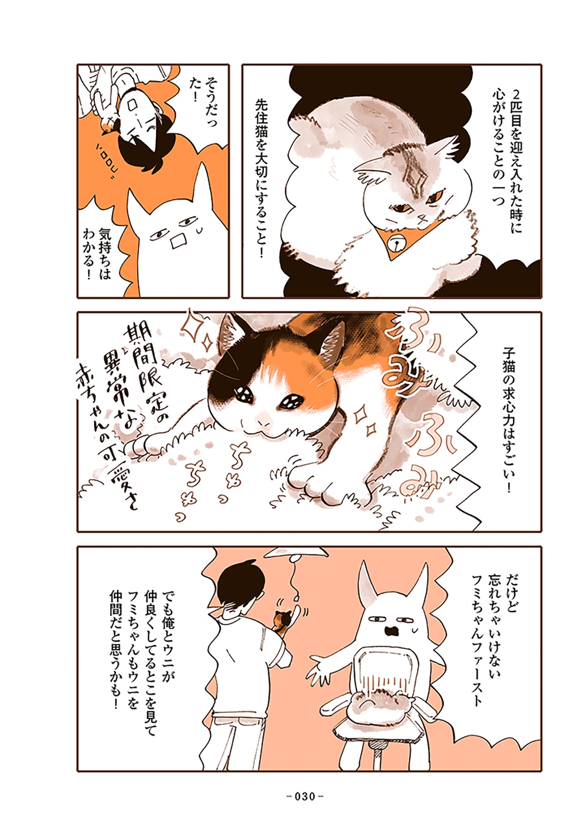 「うちの猫は仲が悪い」