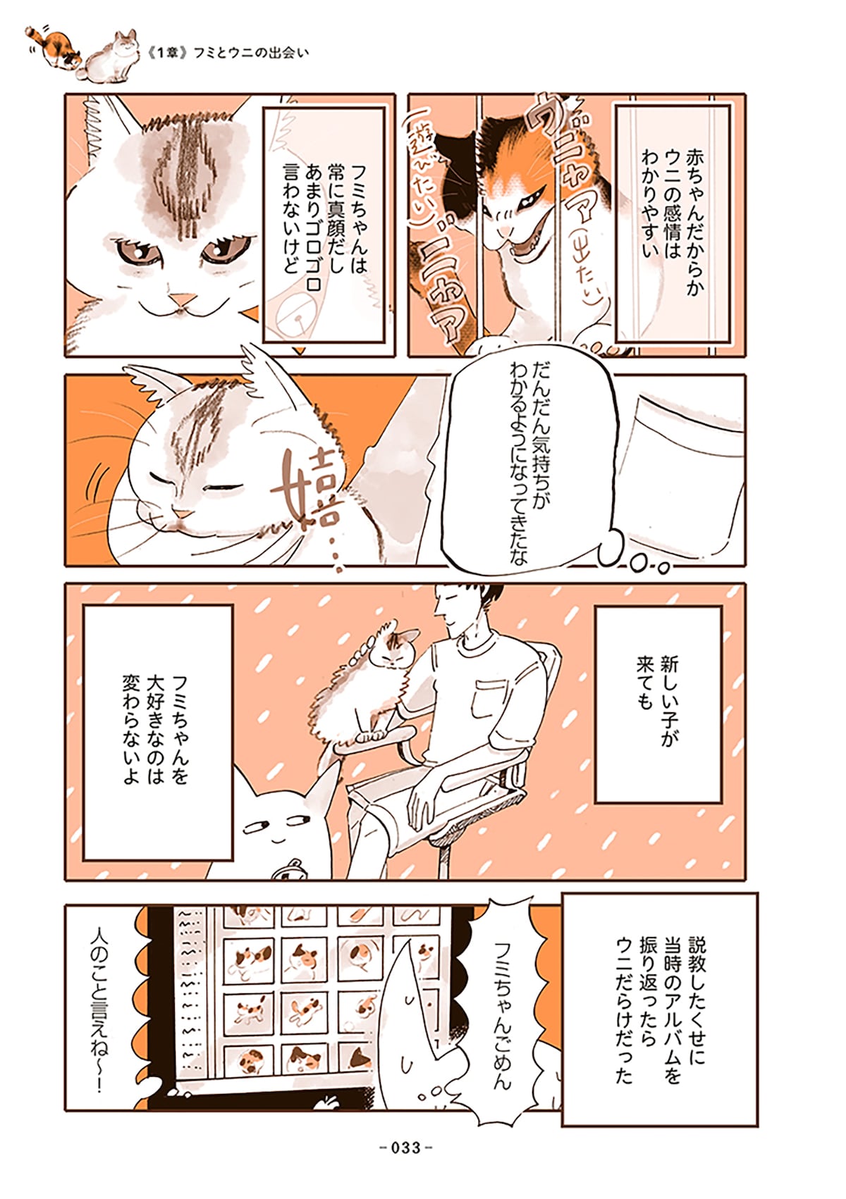 「うちの猫は仲が悪い」