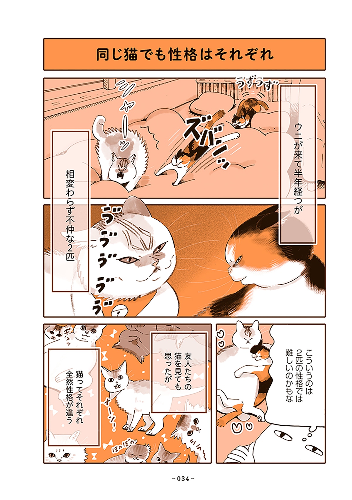 「うちの猫は仲が悪い」