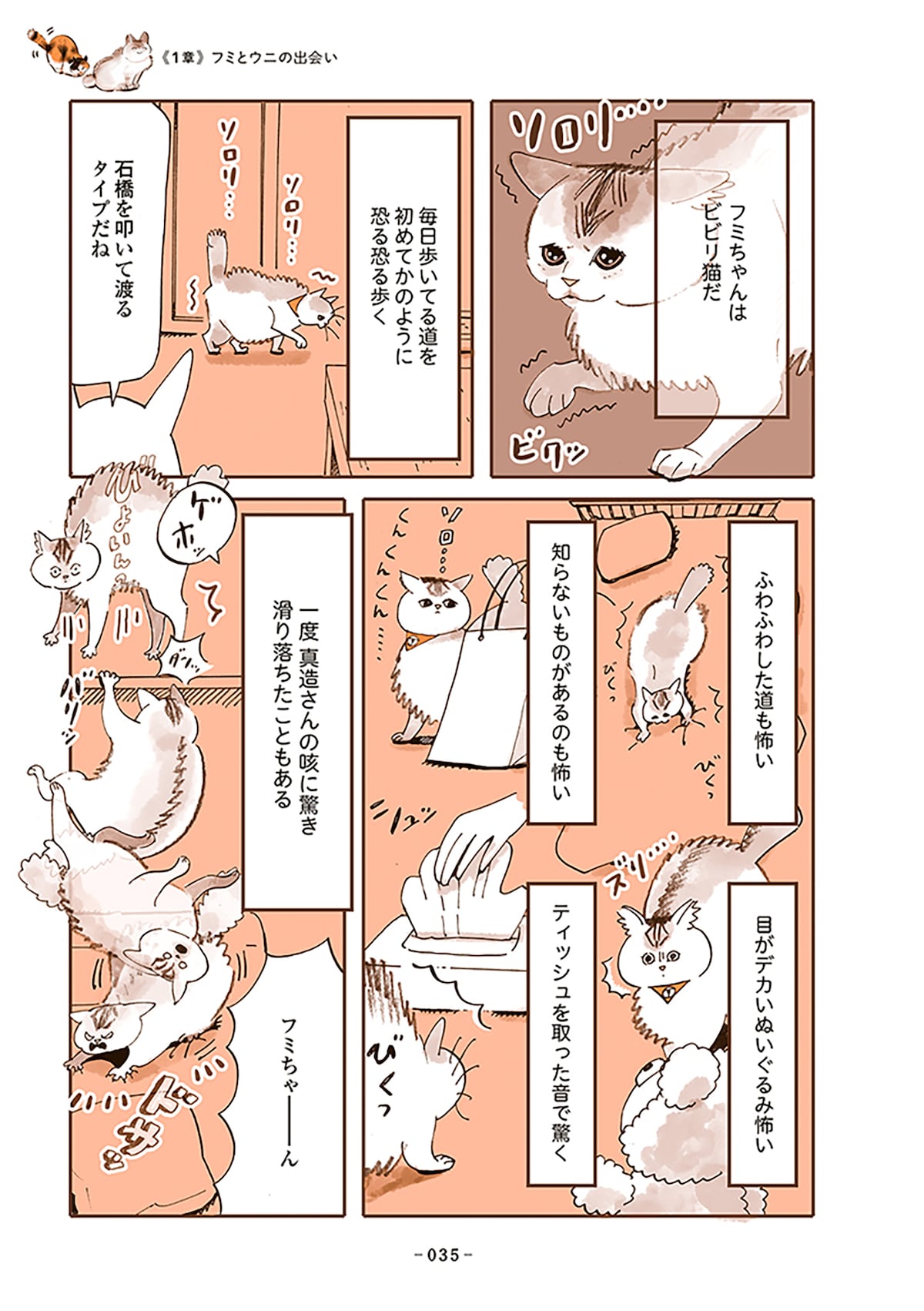「うちの猫は仲が悪い」