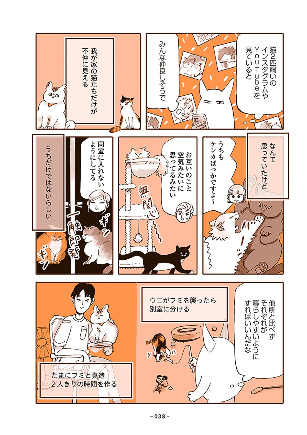 「うちの猫は仲が悪い」