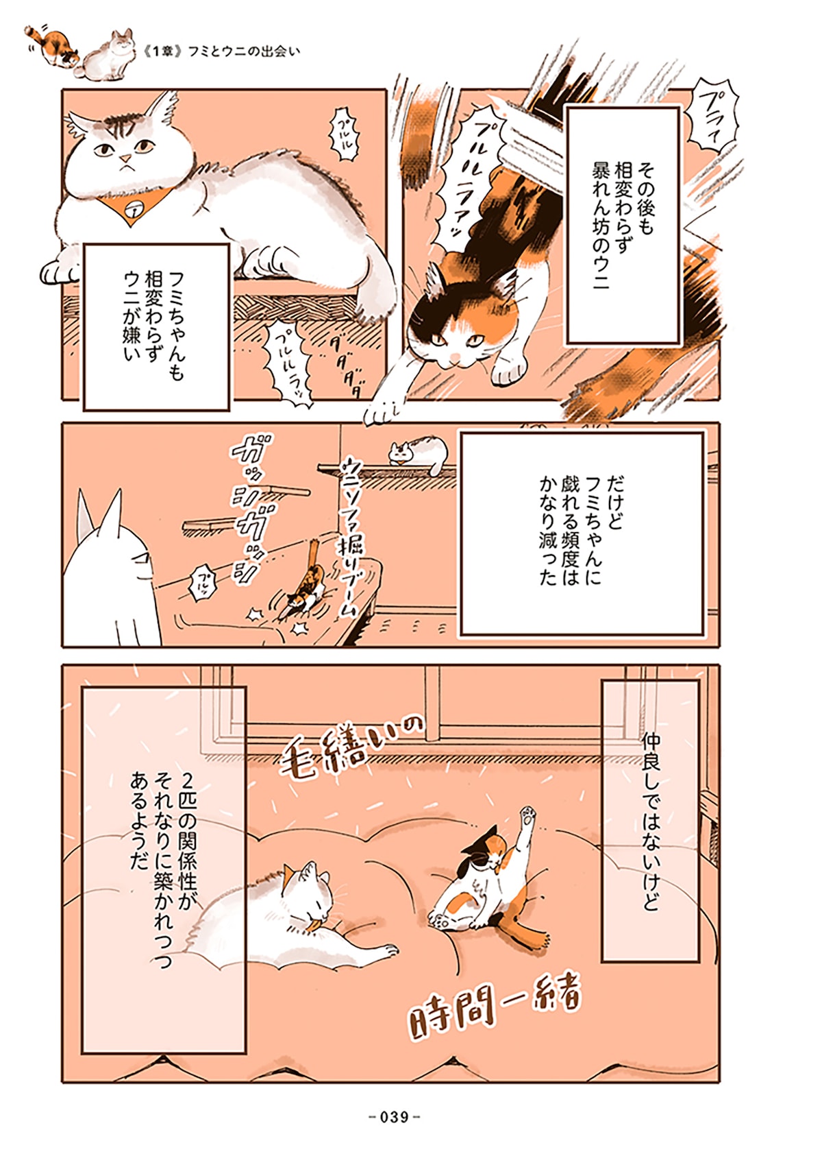 「うちの猫は仲が悪い」