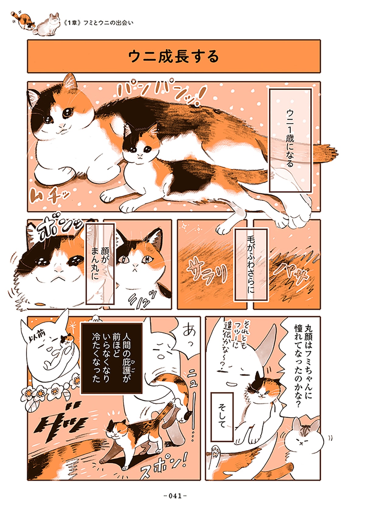 「うちの猫は仲が悪い」
