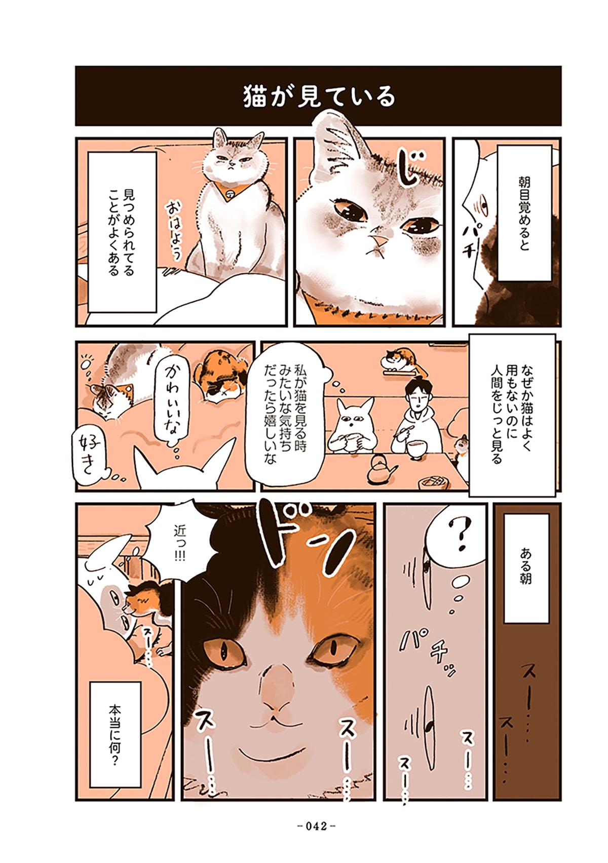 「うちの猫は仲が悪い」