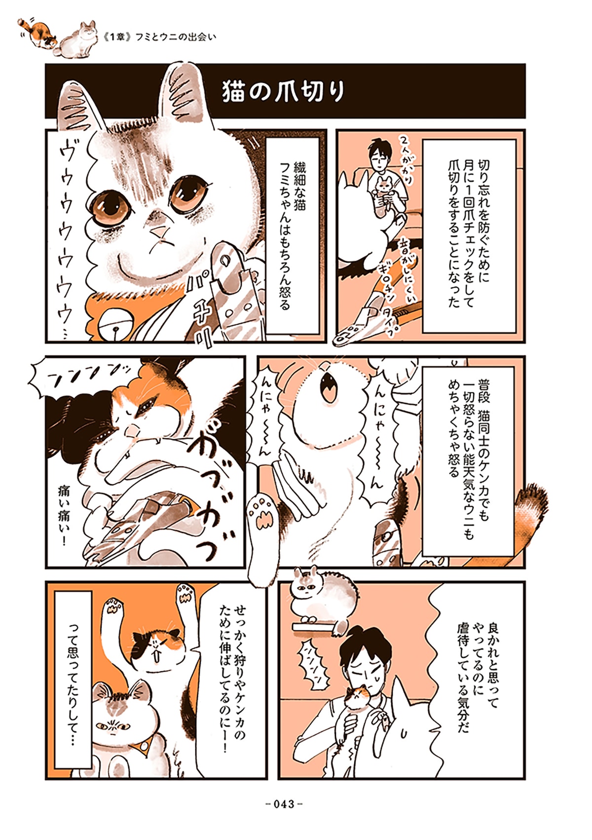 「うちの猫は仲が悪い」