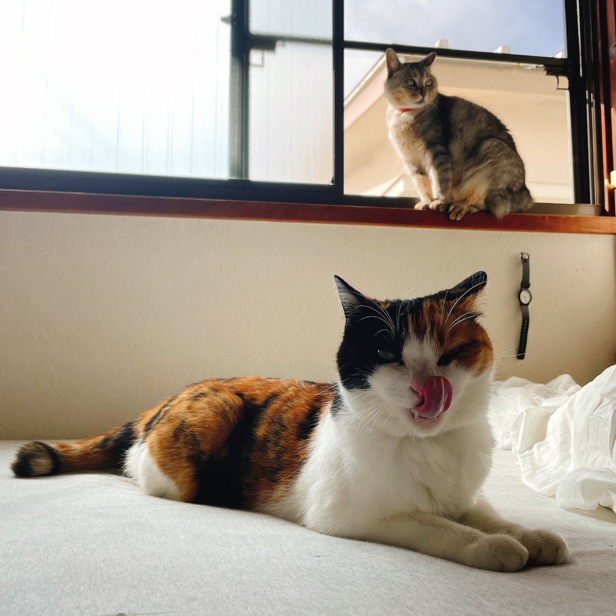 フミとウニの写真。