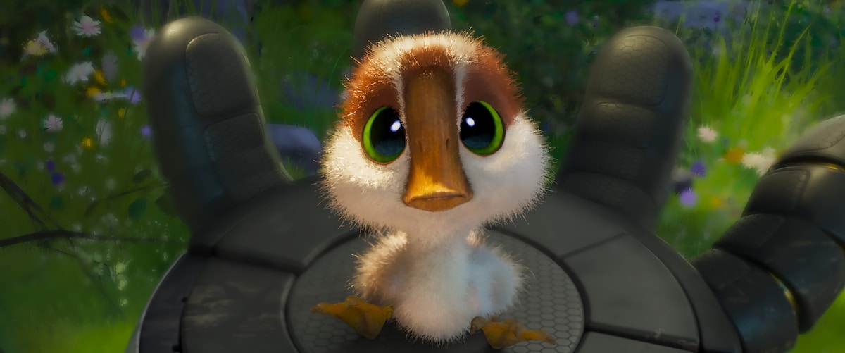 「野生の島のロズ」より、キラリ