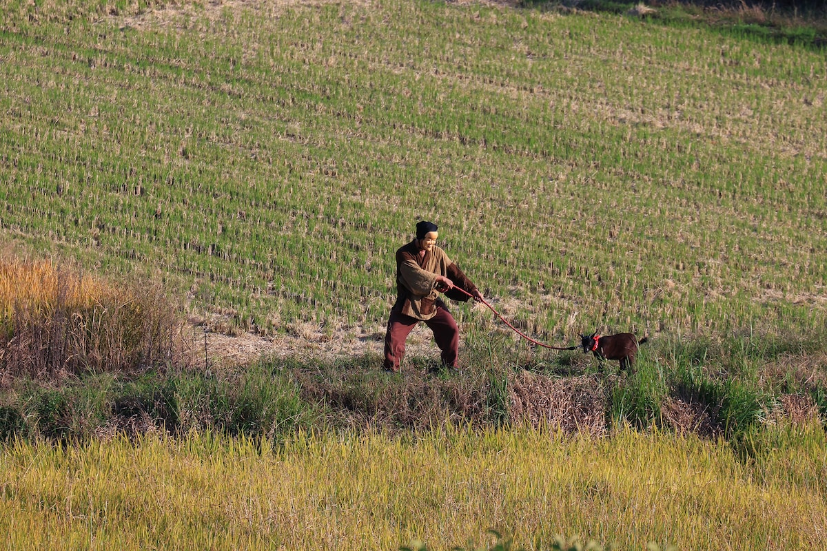 「水の章」より、モドキ（左）とヤギ。（撮影：宮川舞子）