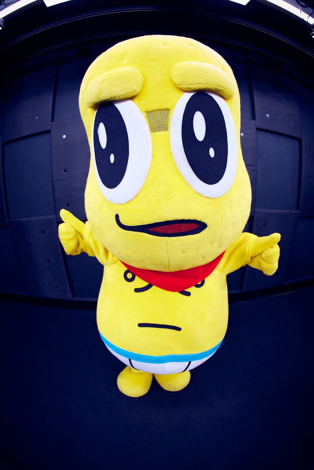 ピーナッツくん