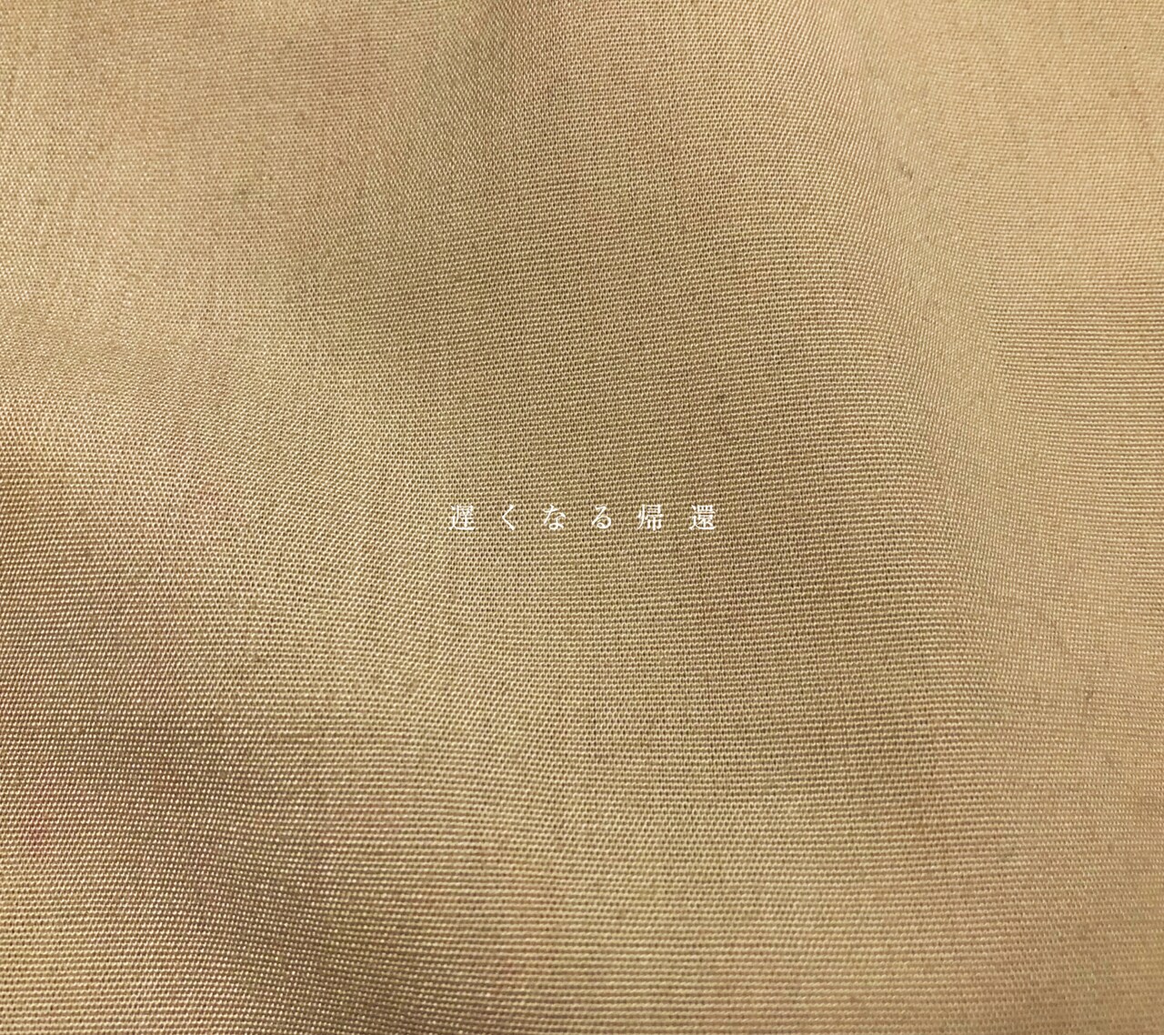 さよならポエジー3年ぶりアルバムは“歌われた遺産”、サブスク