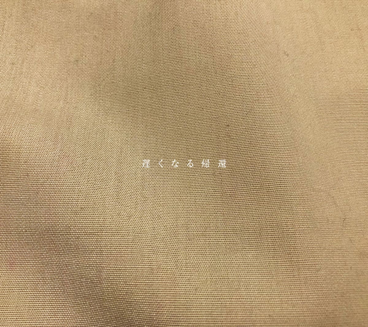 さよならポエジー「遅くなる帰還」ジャケット