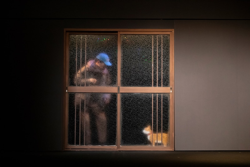 「青年とおじさんと猫」