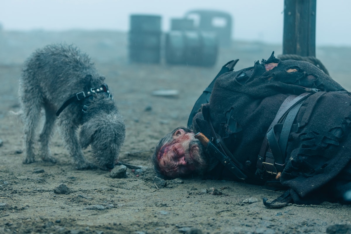 「SISU/シス 不死身の男」場面写真