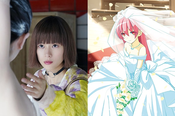 畑健二郎の画業20周年展覧会が3都市で開催、「ハヤテのごとく！」完全