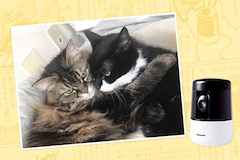 Panasonic デジナタ連載 こざき亜衣×HDペットカメラ KX-HDN205-K