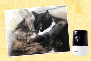 Panasonic デジナタ連載 こざき亜衣×HDペットカメラ KX-HDN205-K