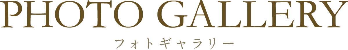 PHOTO GALLERY フォトギャラリー