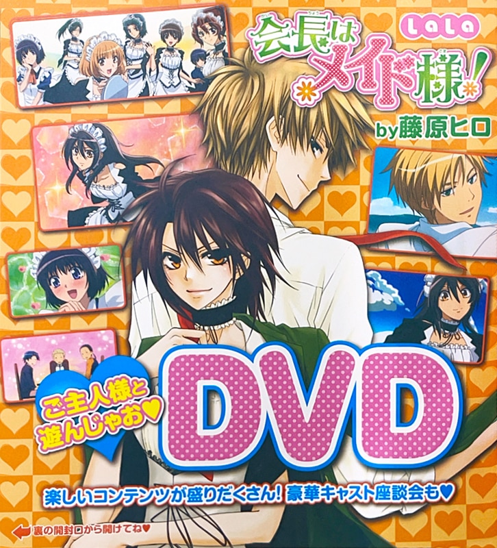 LaLa2010年9月号の付録。