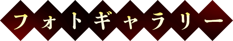 フォトギャラリー