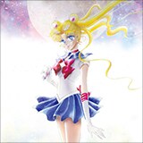 美少女戦士セーラームーン THE 20TH ANNIVERSARY MEMORIAL
