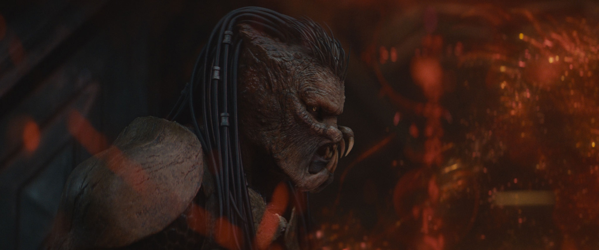 デク役に抜擢されたのは、ニュージーランド出身の新鋭ディミトリアス・シュスター＝コロアマタンギ。撮影ではプレデターの装甲を実際に身に着けてアクションに挑んだ