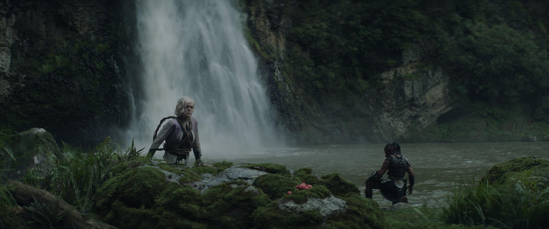 プレデターとアンドロイド。異なる種族の2人が、過酷な惑星バッドランドを旅する