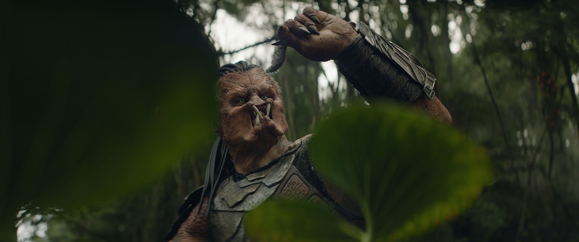 「プレデター：バッドランド」では、シリーズ史上初めてプレデター自身が主人公に