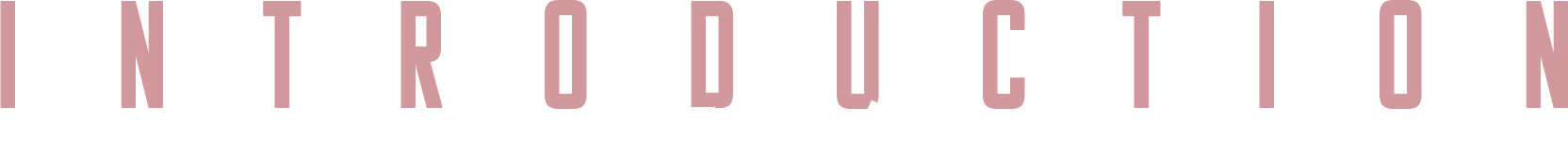 イントロダクション