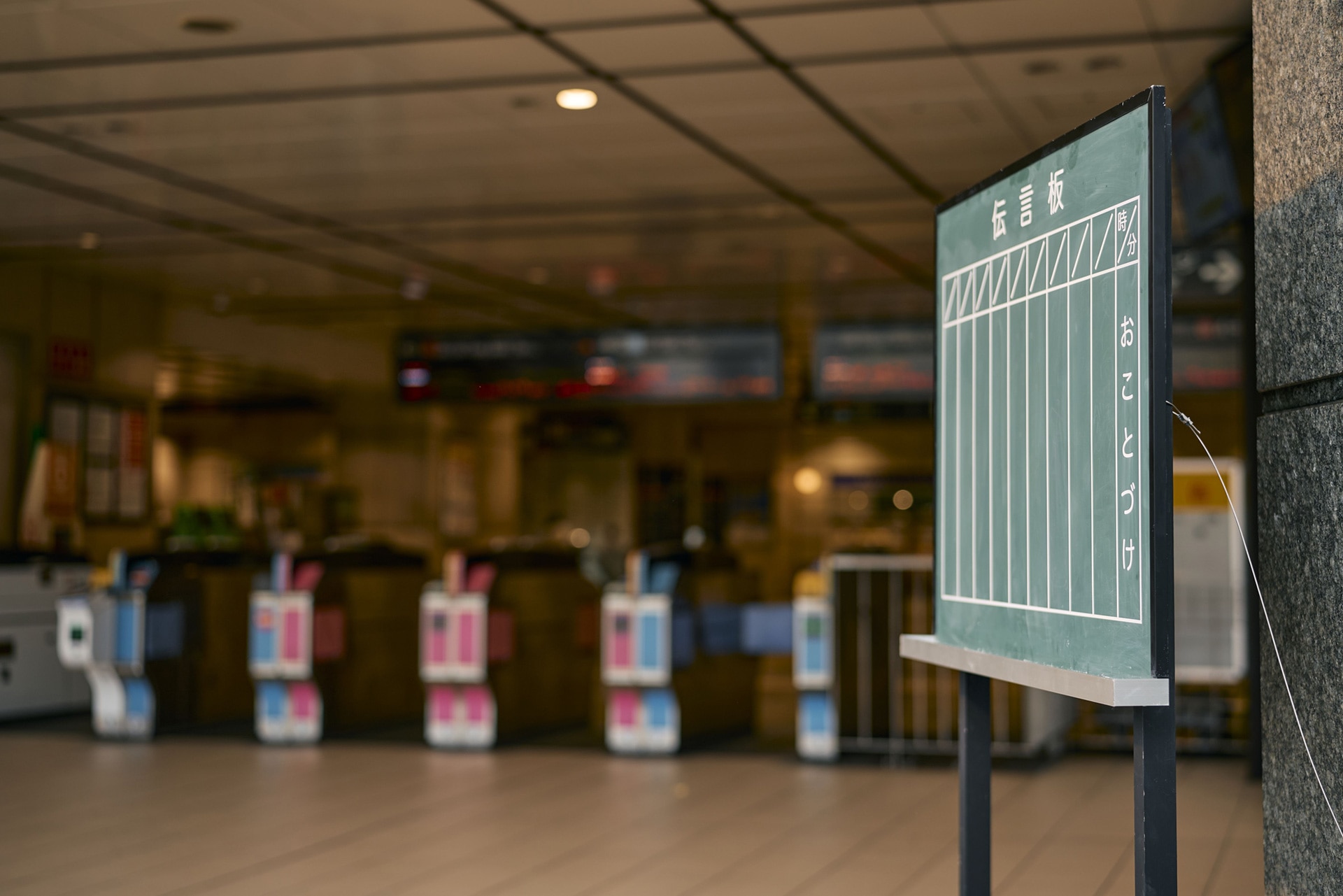 ショートドラマ「#たぬきのデンゴン」場面写真