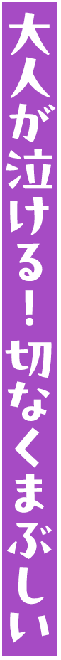 大人が泣ける！切なくまぶしい