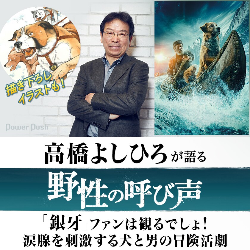 手ぬぐい 高橋よしひろ 手ぬぐい 高橋よしひろ 高橋よしひろ先生 手ぬぐい 高橋よしひろ先生