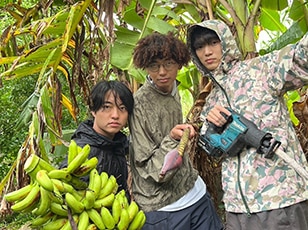 CHO CO PA CO CHO CO QUIN QUIN