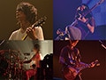 BUMP OF CHICKEN「BUMP OF CHICKEN GOLD GLIDER TOUR 2012」特集