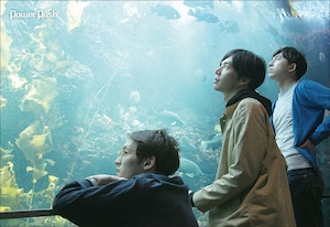 cero「Yellow Magus」インタビュー