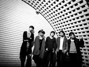 LACCO TOWER「心臓文庫」インタビュー