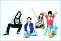TOTALFAT 「PARTY PARTY」インタビュー