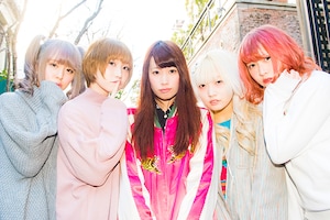 ぜんぶ君のせいだ。「Sophomore Sick Sacrifice」インタビュー