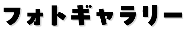 フォトギャラリー