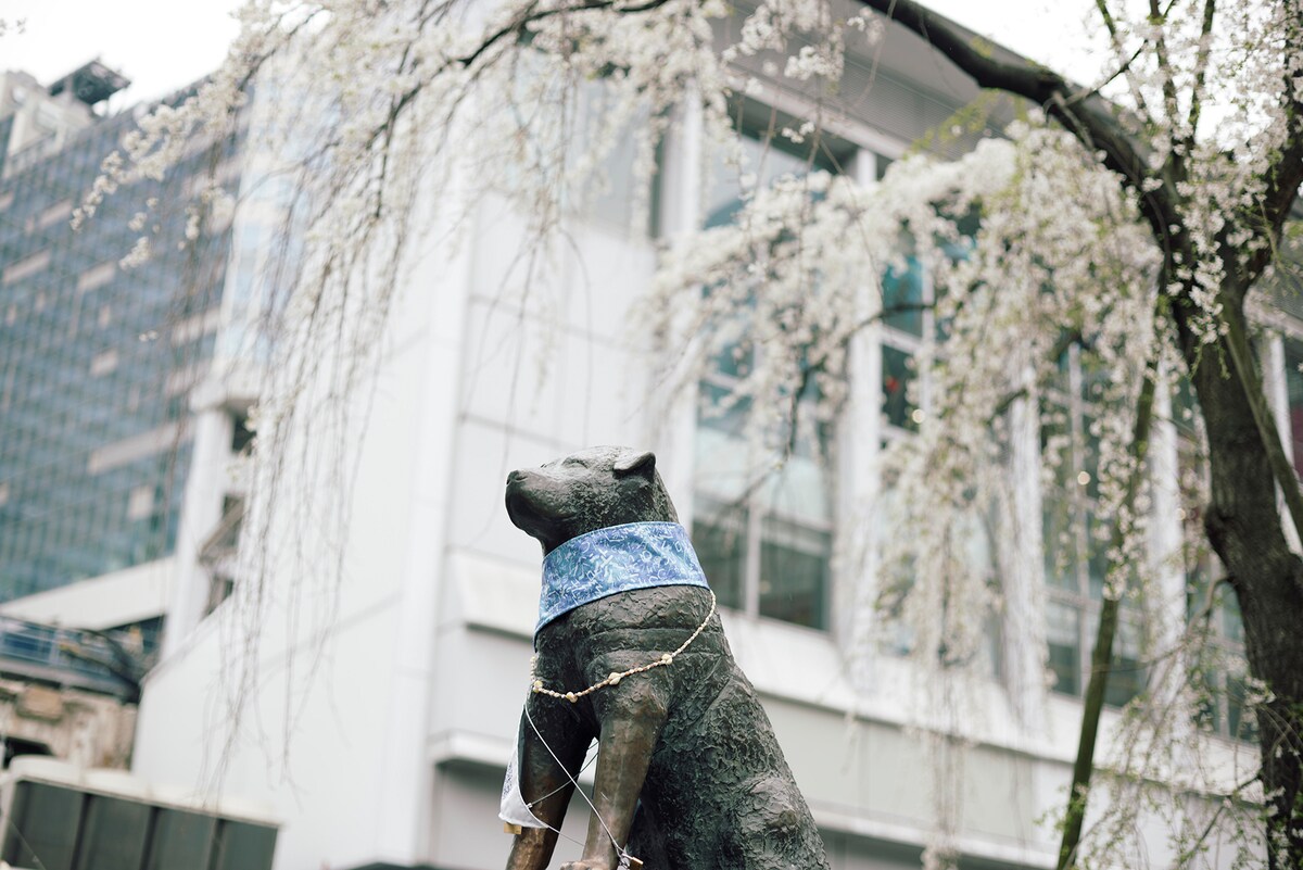 佐藤千亜妃がたくさんの音楽と出会った渋谷へ