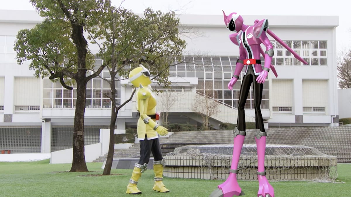 「暴太郎戦隊ドンブラザーズ」ドン1話より。右が身長220cmのキジブラザー。スーパー戦隊シリーズのレギュラー戦士としては初の男性ピンクであることも話題を呼んだ。